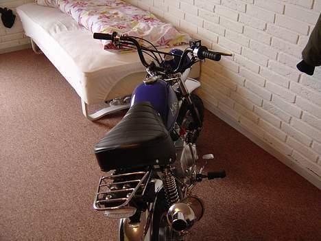 Honda Skyteam Monkey billede 8