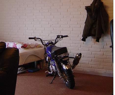 Honda Skyteam Monkey billede 9