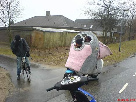 Piaggio zip "Tøffe"(furby scooter billede 1