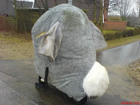 Piaggio zip "Tøffe"(furby scooter billede 5