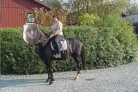 Yamaha jog fs Projekt styling - min hest , MSN: ZERA1990@hotmail.com billede 10