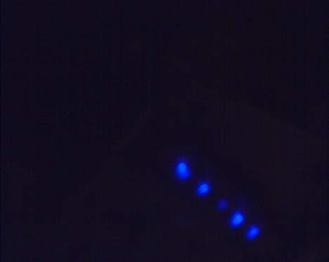 MiniBike solgt-projekt billede 7