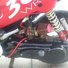 Peugeot speedfight 2 SOLGT