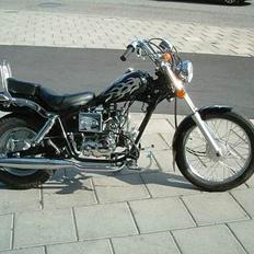 Regal Raptor *SOLGT*