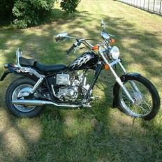 Regal Raptor *SOLGT*