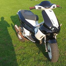 Gilera runner projekt byttet