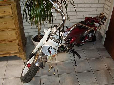 Honda Dax  billede 8
