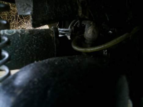 Piaggio typhoon (solgt) billede 6