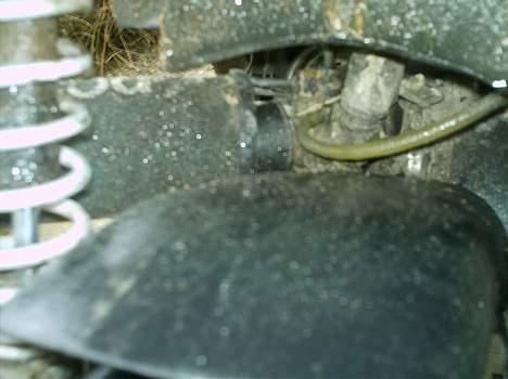 Piaggio typhoon (solgt) billede 7