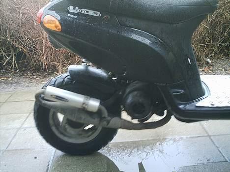 Piaggio typhoon (solgt) billede 8