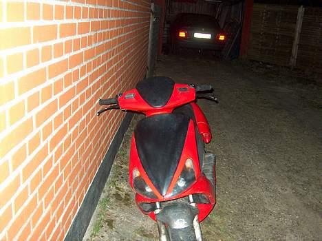 Benelli 491 Solgt billede 3