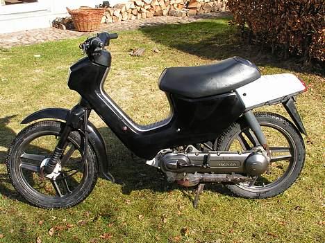 Honda Wallaroo billede 11