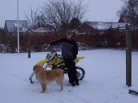 Suzuki RM 85 SOLGT - med det nye sædebetræk billede 5