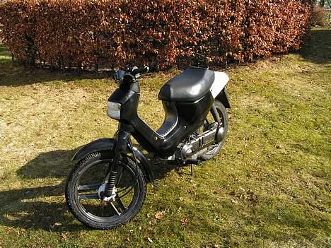 Honda Wallaroo billede 14