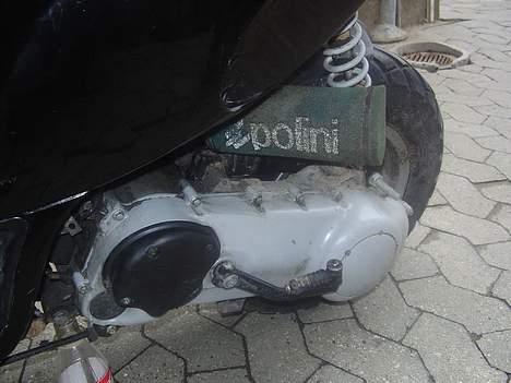 Piaggio typhoon *solgt* billede 2