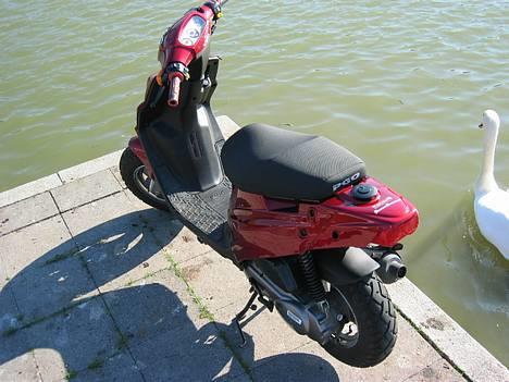 PGO hot 50 (NU TIL SALG) - gammelt billed! billede 6