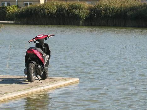 PGO hot 50 (NU TIL SALG) - gammelt billed! billede 7