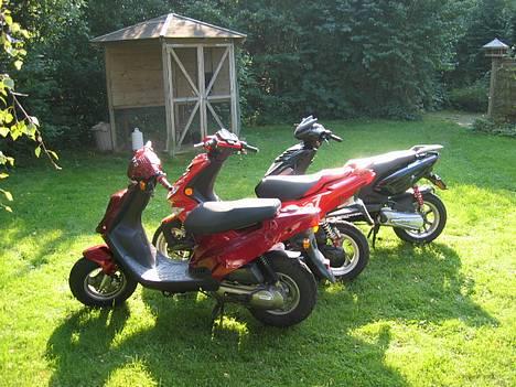 PGO hot 50 (NU TIL SALG) - min hot 50, Lasse H´s speedfight,Jacob L´s Oliver city billede 10