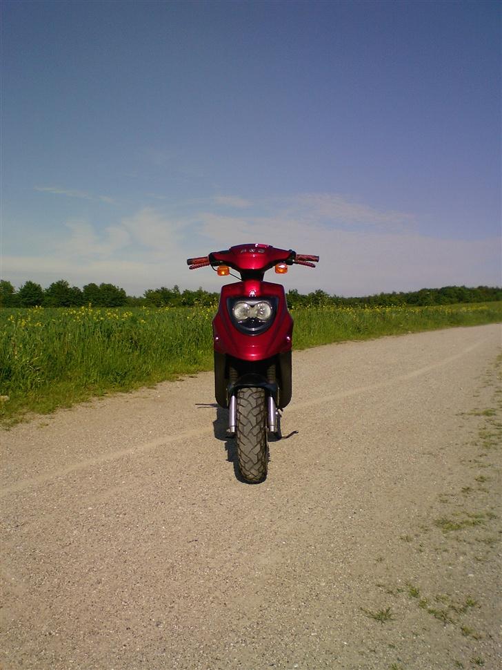 PGO hot 50 (NU TIL SALG) billede 11