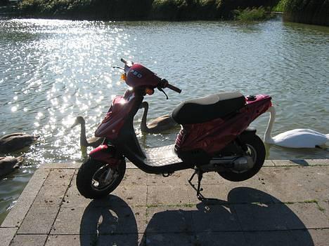 PGO hot 50 (NU TIL SALG) - Gammelt billede 12