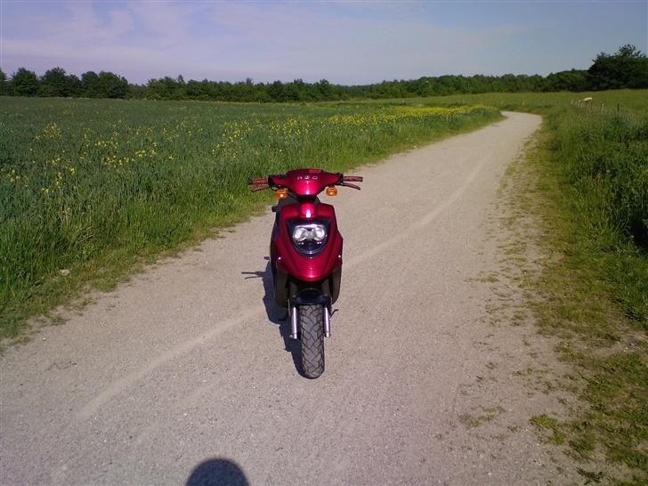 PGO hot 50 (NU TIL SALG) billede 13