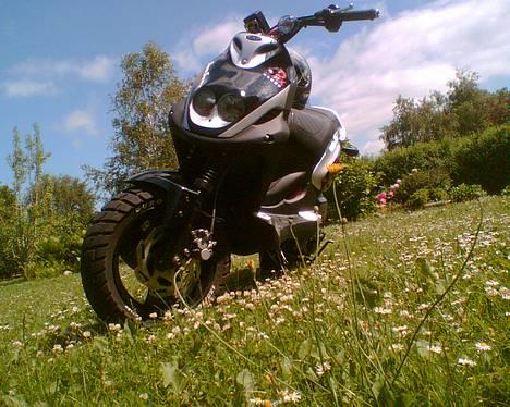 PGO Pmx Naked (EFTERLYST!) - Lige blevet vasket ( 28/6-06 ) billede 1