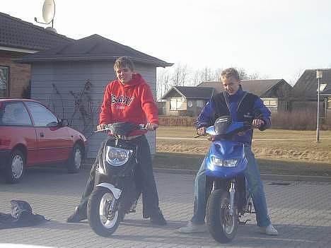 PGO hot 50 solgt billede 6