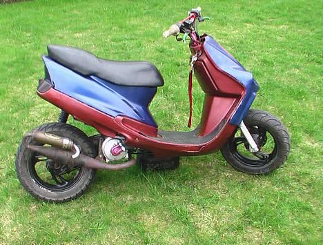 Adly falcon LC billede 5