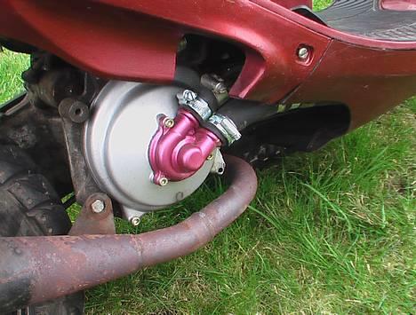 Adly falcon LC billede 7