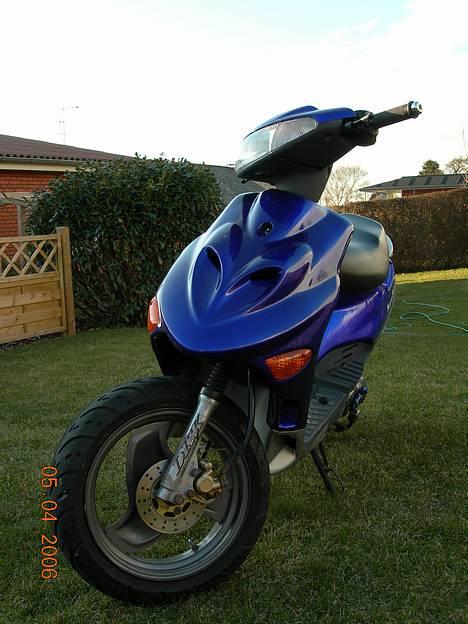 Adly Silverfox *ALDI'en* SOLGT billede 5