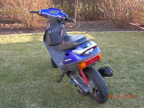 Adly Silverfox *ALDI'en* SOLGT billede 8