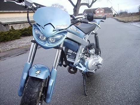 Suzuki Street magic (SOLGT) billede 12