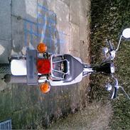 Suzuki FZ50  [ SOLGT ] 