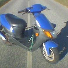 Siamoto Birdie *Solgt*