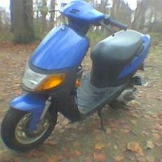 Siamoto Birdie *Solgt*