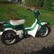 Suzuki FZ50 * SOLGT *