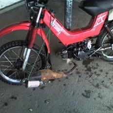 Yamaha Sting . SOLGT