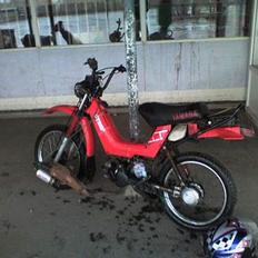 Yamaha Sting . SOLGT