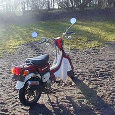 Suzuki fz50----Solgt