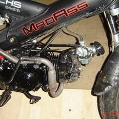 Sachs MADASS_SOLGT