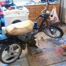 Honda wallaroo (byttet)