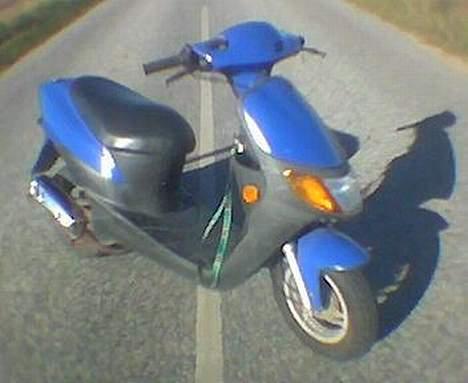 Siamoto Birdie *Solgt* billede 1