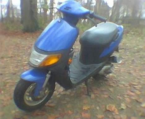 Siamoto Birdie *Solgt* billede 2