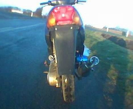 Siamoto Birdie *Solgt* billede 3