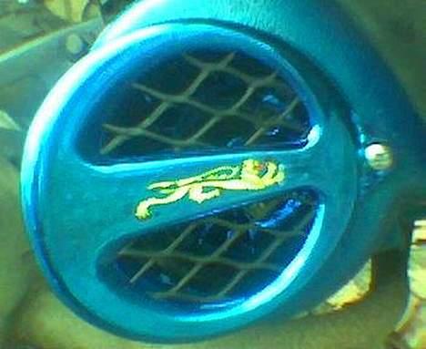 Siamoto Birdie *Solgt* billede 4