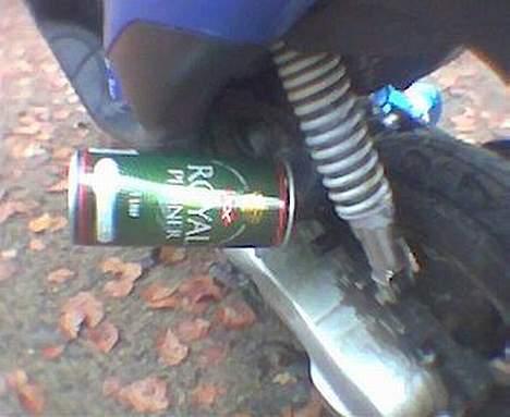 Siamoto Birdie *Solgt* billede 5