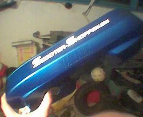 Siamoto Birdie *Solgt* billede 7