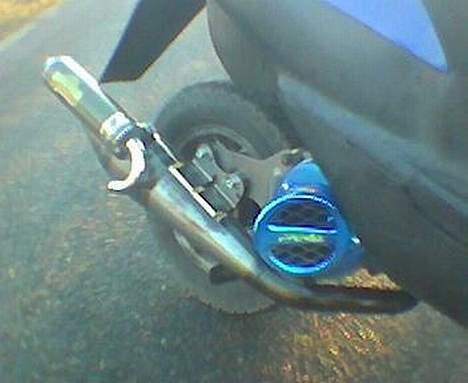 Siamoto Birdie *Solgt* billede 9