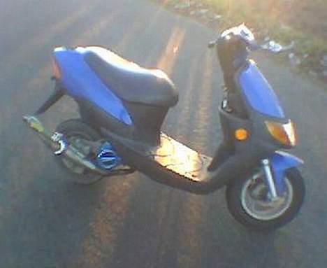 Siamoto Birdie *Solgt* billede 10