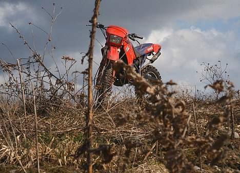 Derbi Senda R (Solgt) billede 1